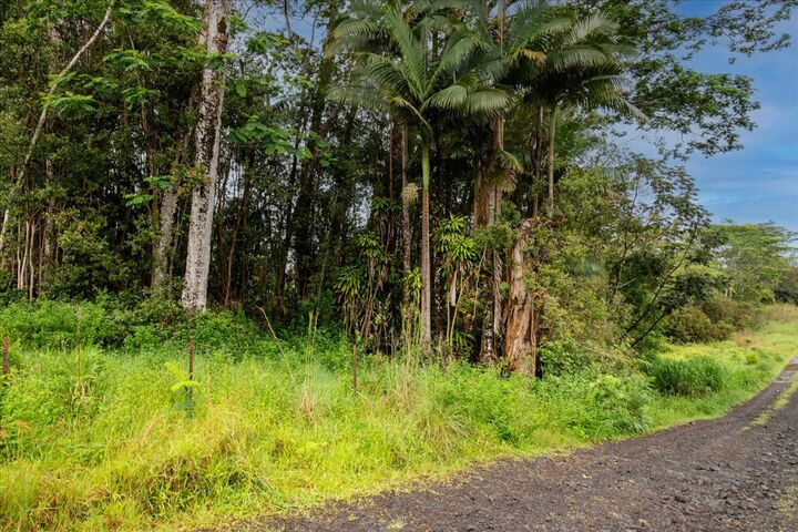 Property Photo:  Huina Rd  HI 96760 