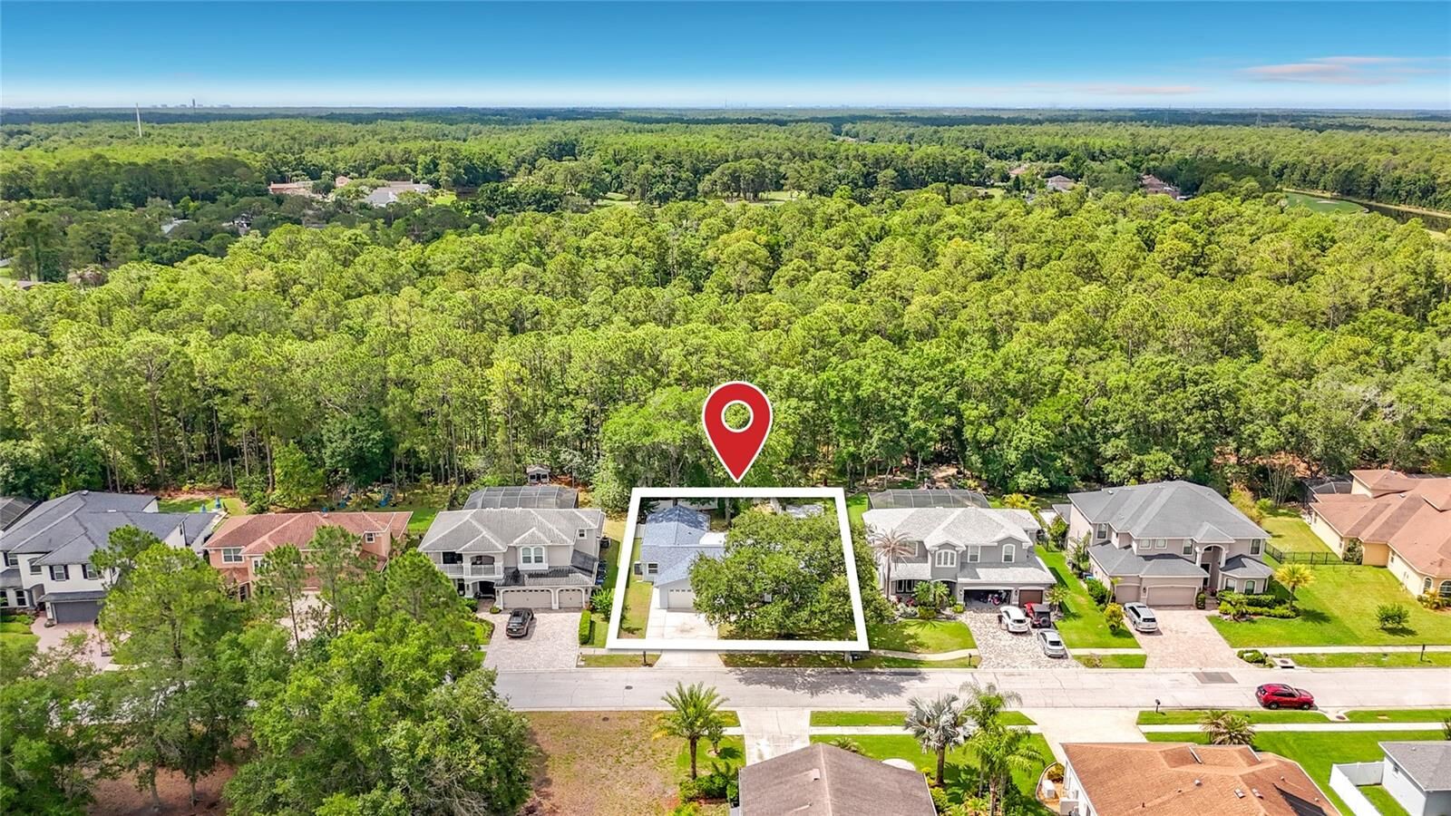 Property Photo:  12912 Starling Drive  FL 33556 