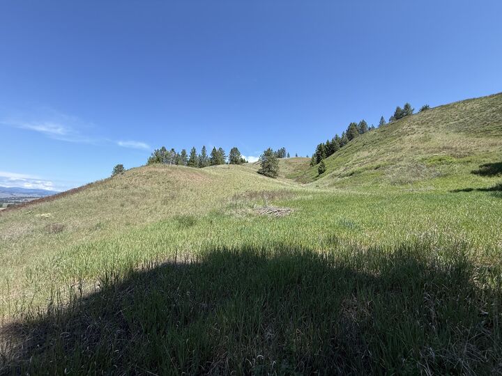 Property Photo: Tbd Art Creek Rd WA 99150