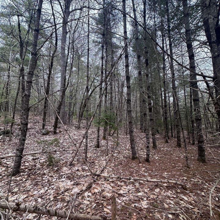 Property Photo:  Lot 10 Moose Pit Road  NS B0T 1B0 