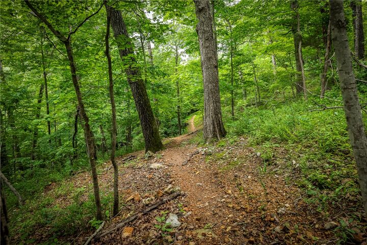 Property Photo: 48 Brentwood Drive AR 72715