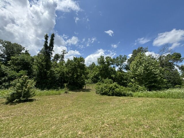 Property Photo:  Ar 21 S Berryville, Ar 72 S Ar 21  AR 72616 