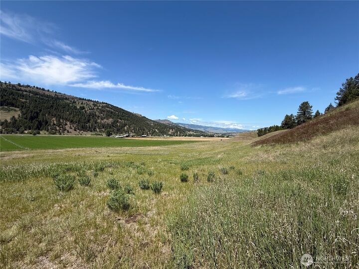 Property Photo: 0 Art Creek Road WA 99150