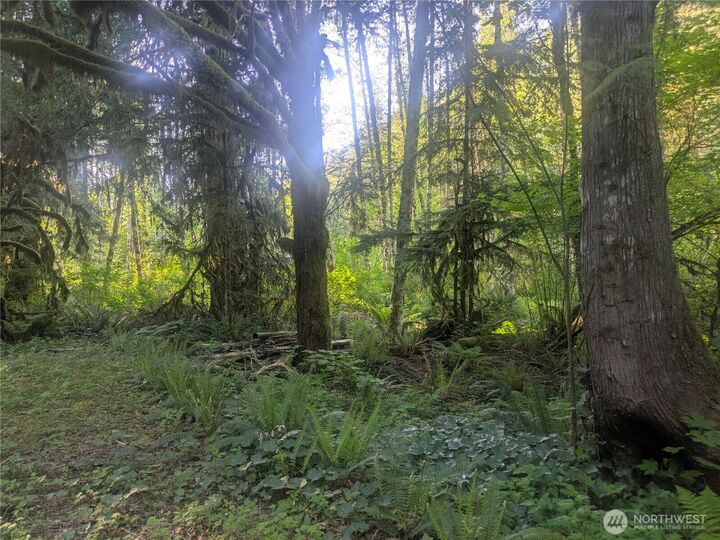 Property Photo:  63323 W Cascade Way D3-19  WA 98267 