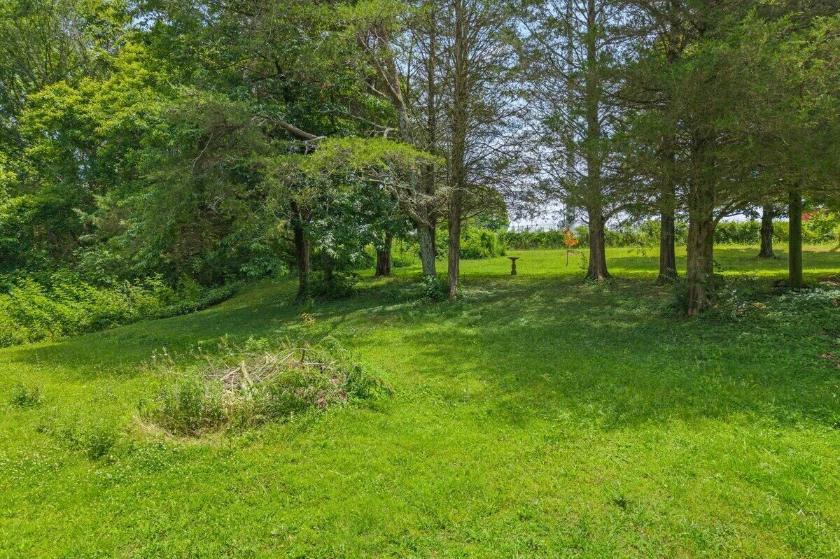 Property Photo: 000 Buck Brown Street TN 37329