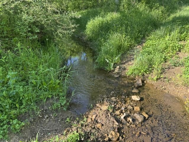 Property Photo:  000 Byrd'S Creek Road  WI 53518 