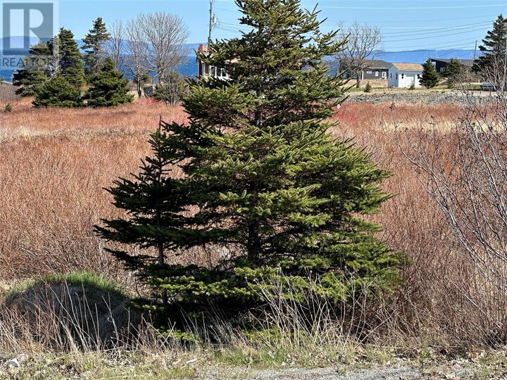 Property Photo:  389 Conception Bay Highway  NL A0A 1L0 