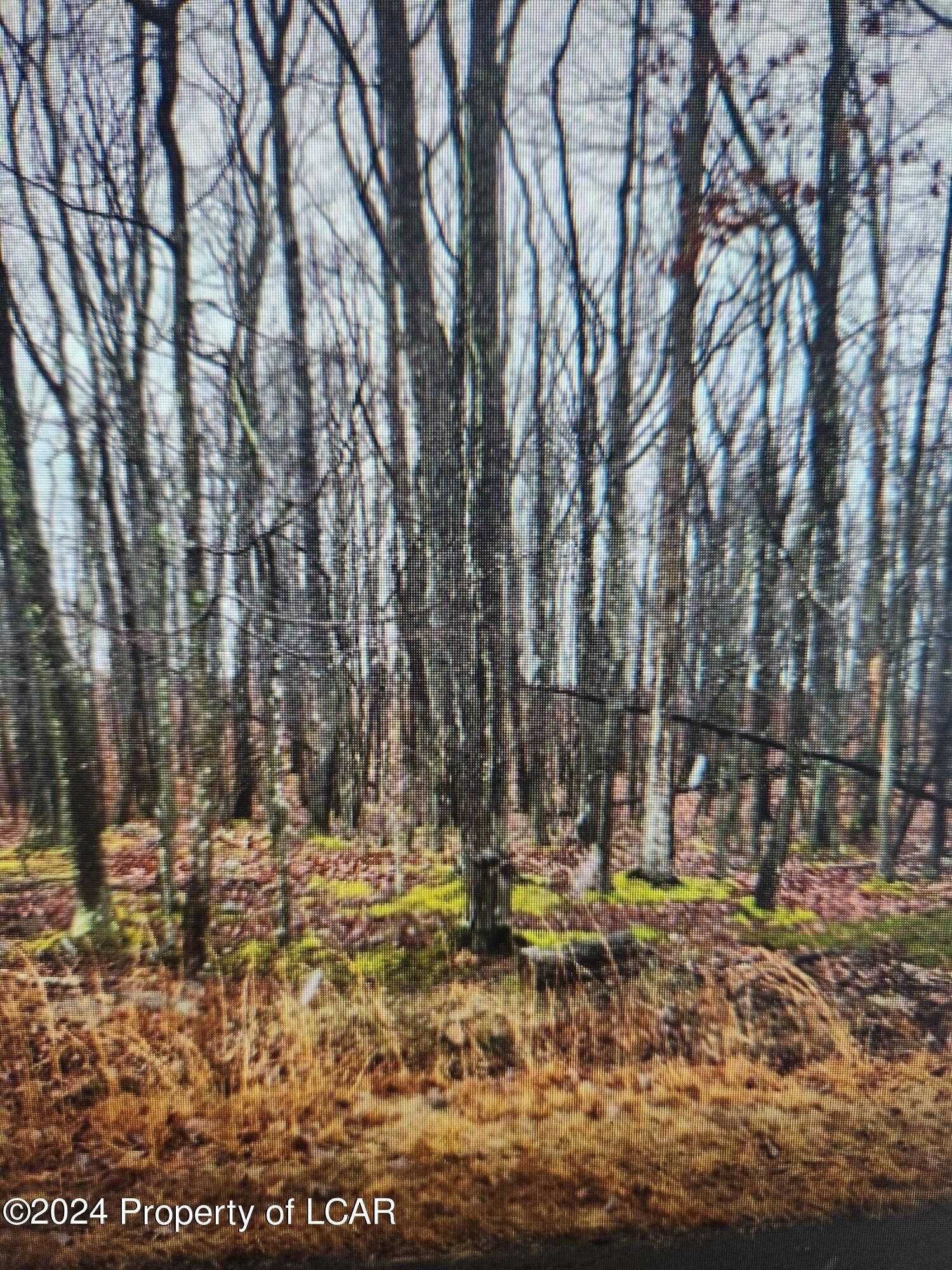 Property Photo: 179 Wichita Lane PA 18202