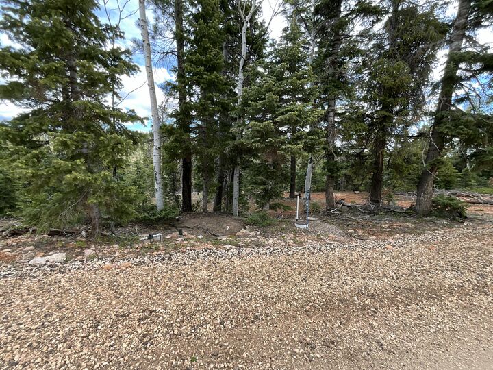 Property Photo:  175 S Lupin Ln  UT 84762 