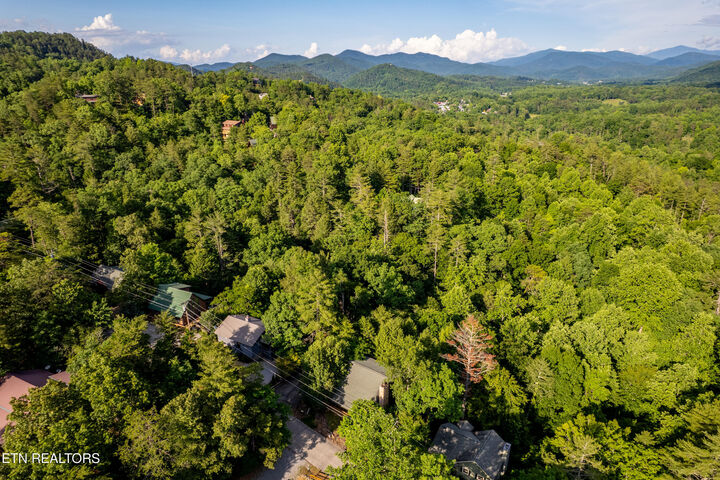 Property Photo:  124 Cutter Gap Rd  TN 37882 