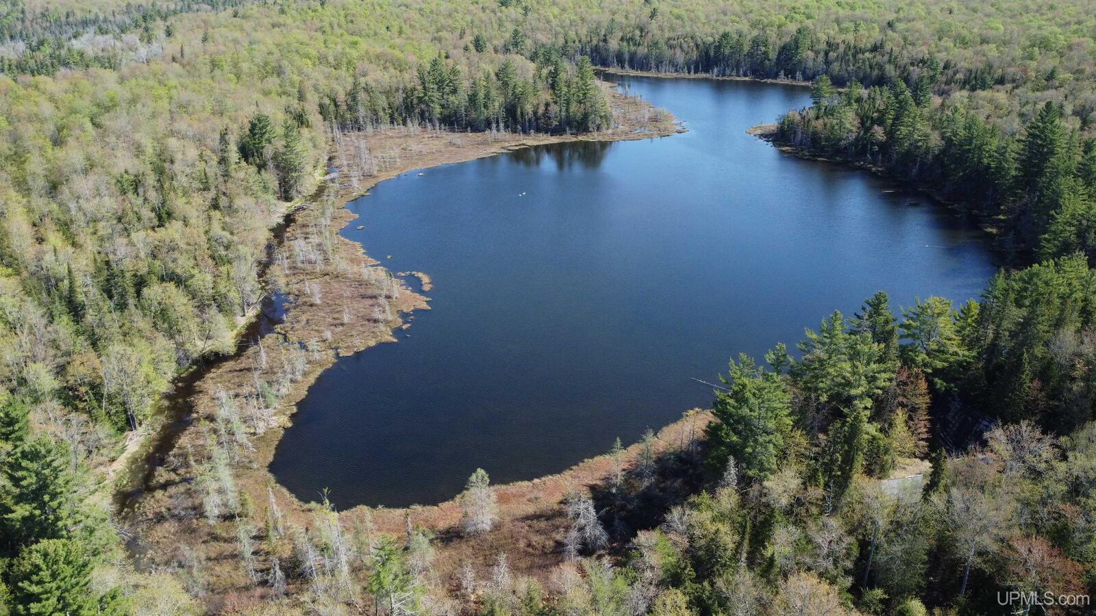 Property Photo:  On Tahquamenon Truck Trail Road  MI 49868 