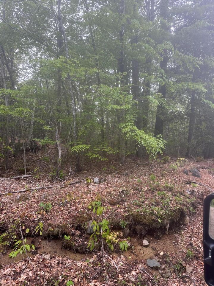 Property Photo: Lot 3 Morse District Road ME 04680
