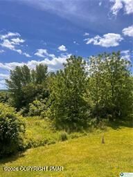 Property Photo:  25 Beltzville Drive  PA 18235 