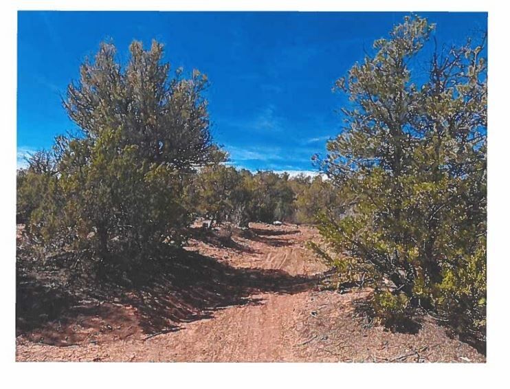 Property Photo:  28.962 Acres Off Camino Lomita  NM 87552 