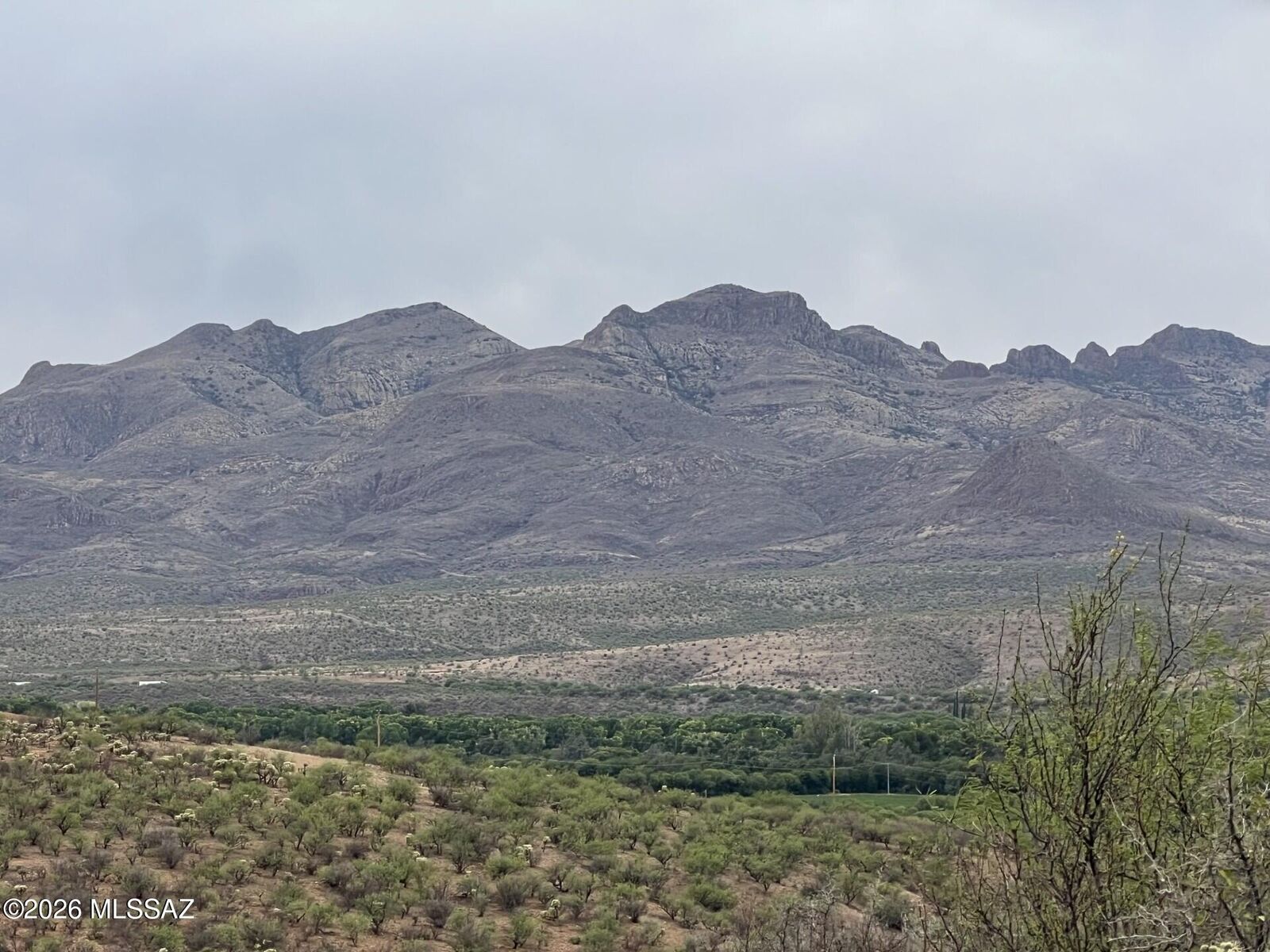 Property Photo: 1835 Camino China 3 AZ 85648
