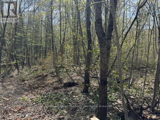 Photo de la propriété:  152 Pettit Lane  ON P0A 1M0 