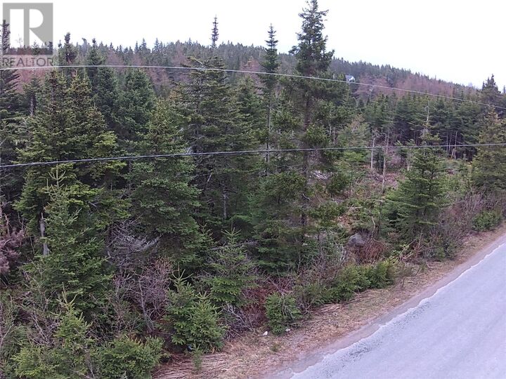 Property Photo:  54 Ridge Road  NL A0A 2R0 