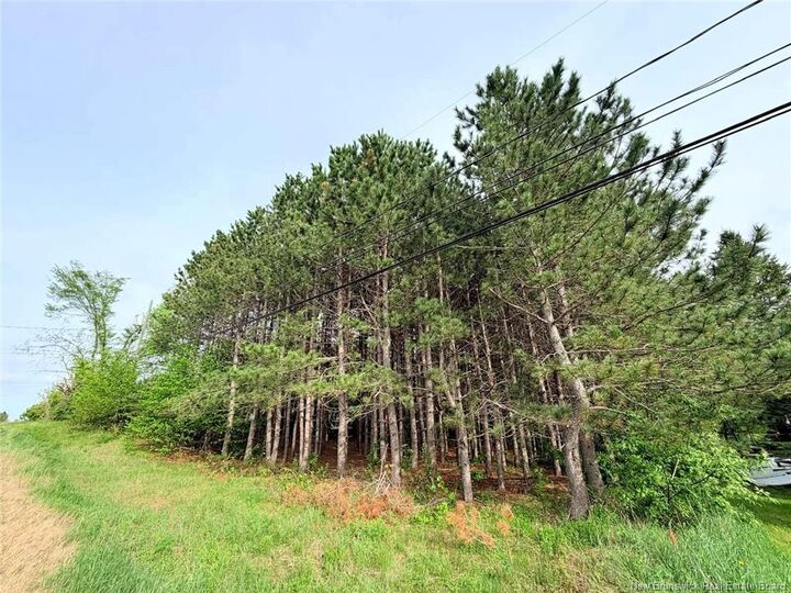 Property Photo:  Vacant Lot 74-1A Cape Breton Rd Road  NB E4P 1V8 