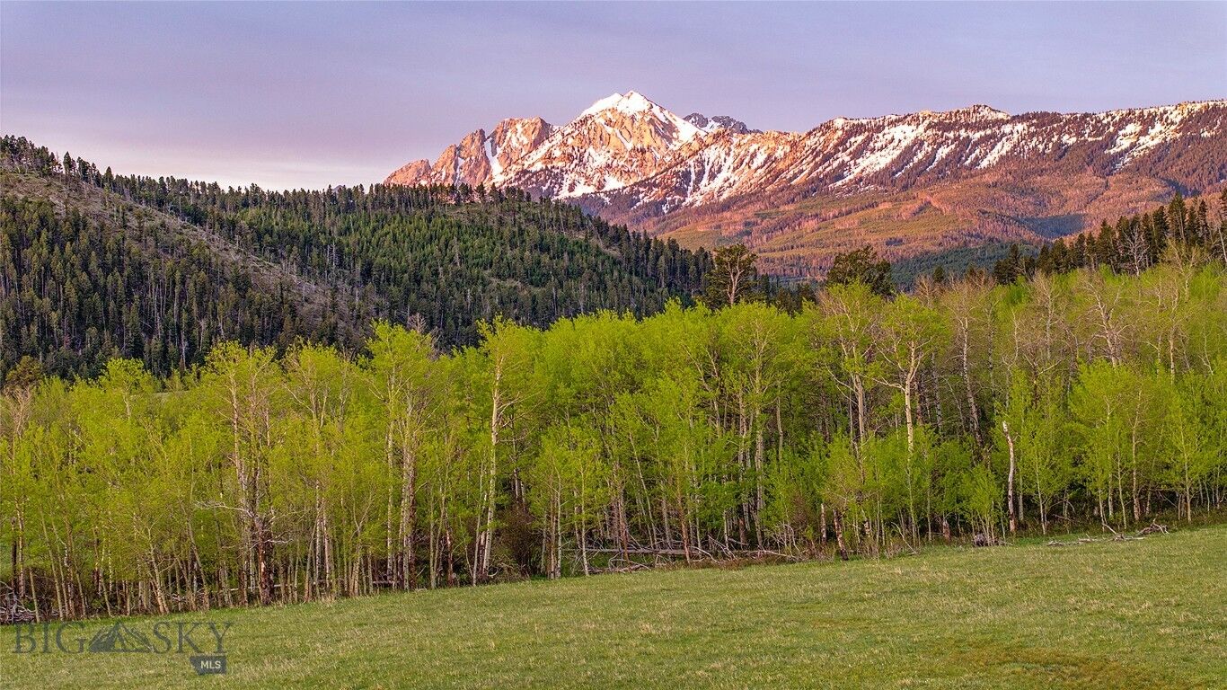 Property Photo:  Tbd Petterson Road  MT 59086 