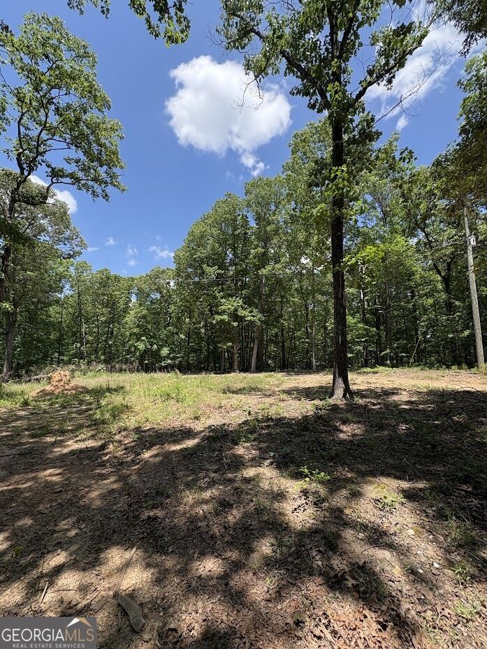Property Photo:  4492 U.s. 78  GA 30176 