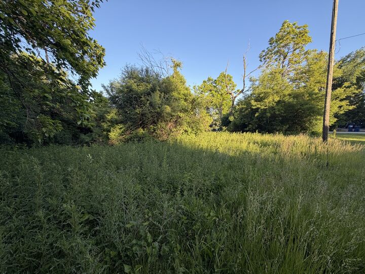 Property Photo:  911 Safford Avenue  IL 60044 