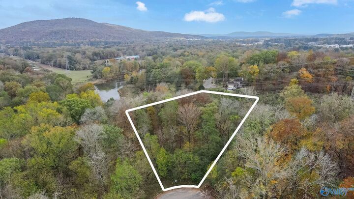 Property Photo: 4623 Legacy Preserve Way AL 35741