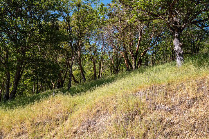 Property Photo:  0 Highway 234  OR 97502 