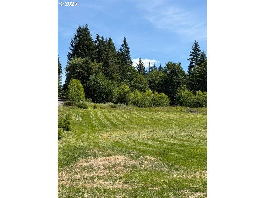 Property Photo:  2 NE 144th St  WA 98606 