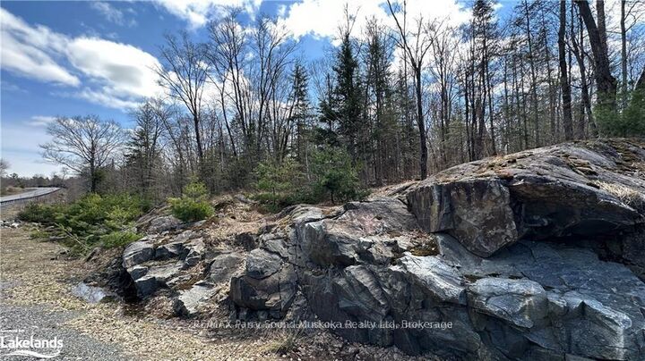 Property Photo:  593 Highway 518 N/A  ON P2A 0B2 