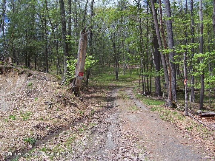 Property Photo:  Tbd Heinle  NY 12401 