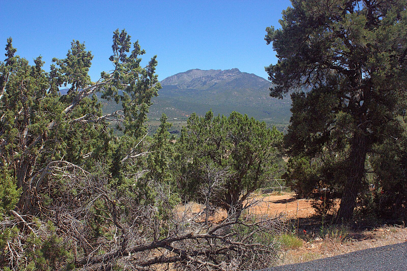 Property Photo:  254 Cottontail Cir  UT 84722 