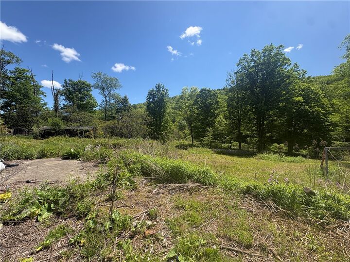 Property Photo:  5386 County Route 11  NY 14810 