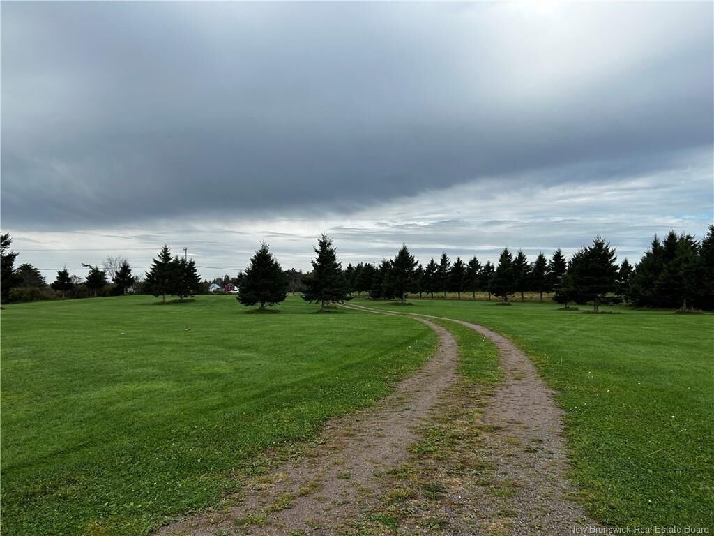 Property Photo:  Lot Route 955  NB E4M 3H7 