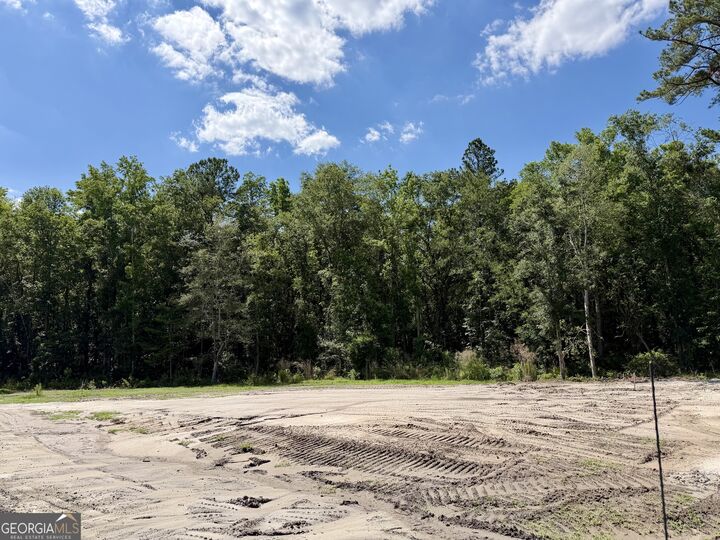 Property Photo:  0 Fulford West Avenue  GA 31548 