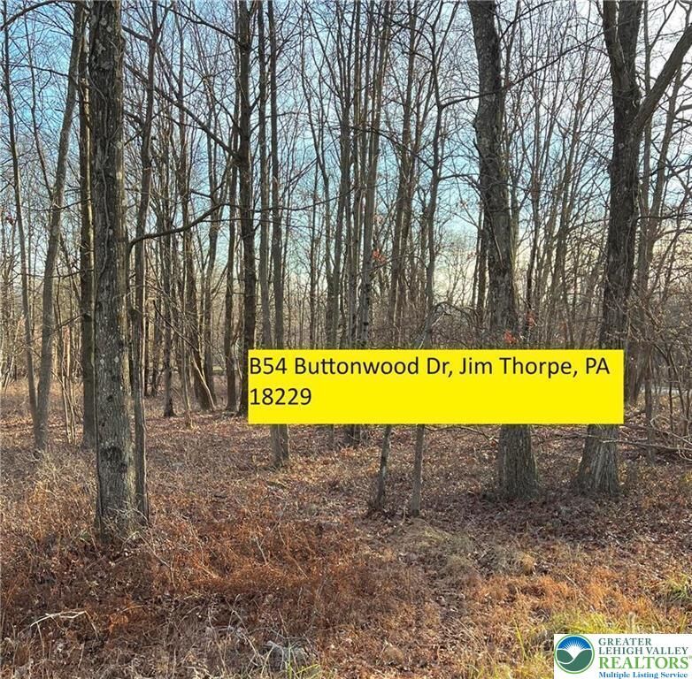 Property Photo:  54 Buttonwood Drive  PA 18229 