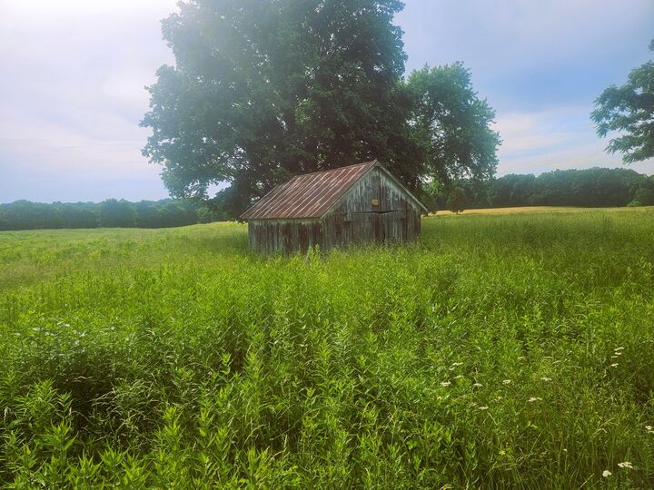 Property Photo: 0000 N Stanford Lane IL 62872