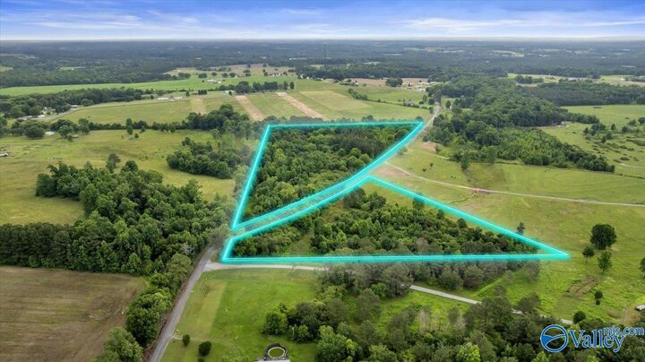 Property Photo:  1639 County Road 368  AL 35771 