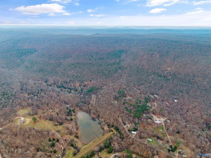 Property Photo:  20 Acres  AL 35751 