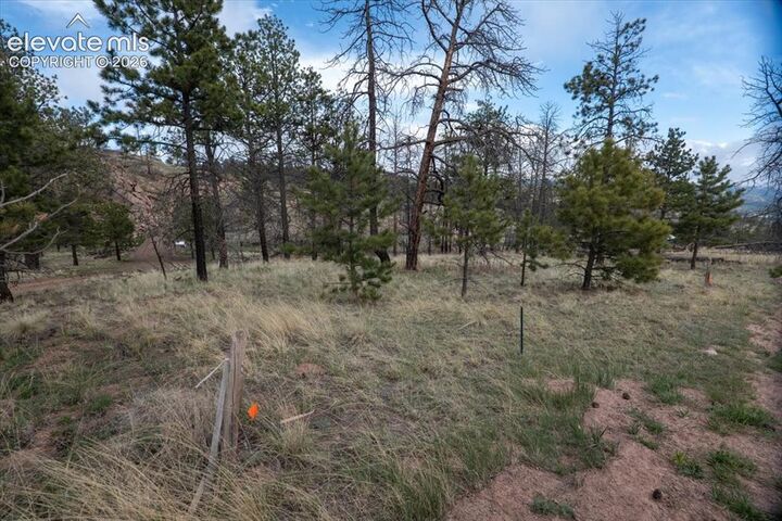 Property Photo:  144 Chapparal Trail  CO 80816 