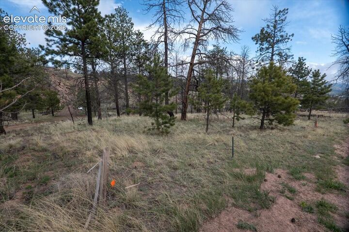Property Photo: 144 Chapparal Trail CO 80816