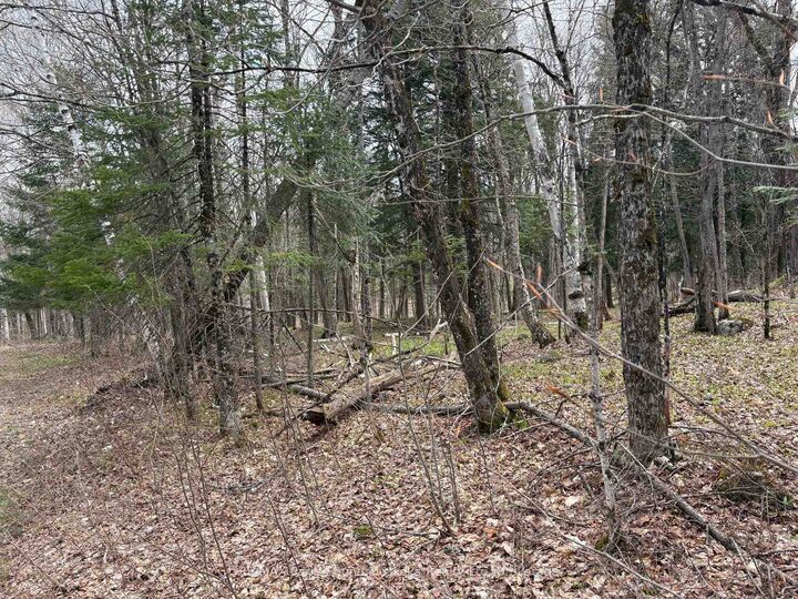 0 Ahmic Lake Road — photo 1