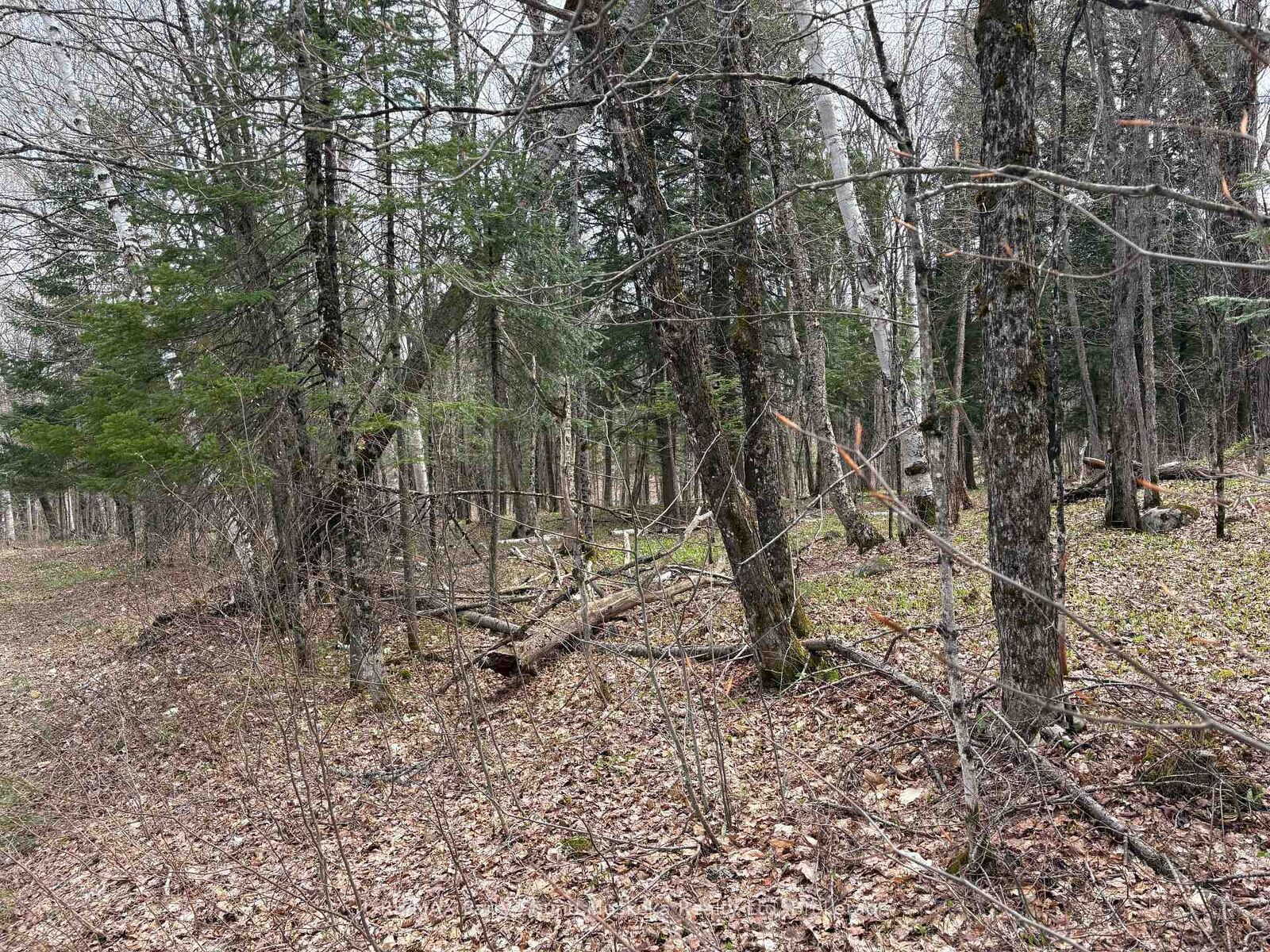 Property Photo:  0 Ahmic Lake Road  ON P0A 1P0 