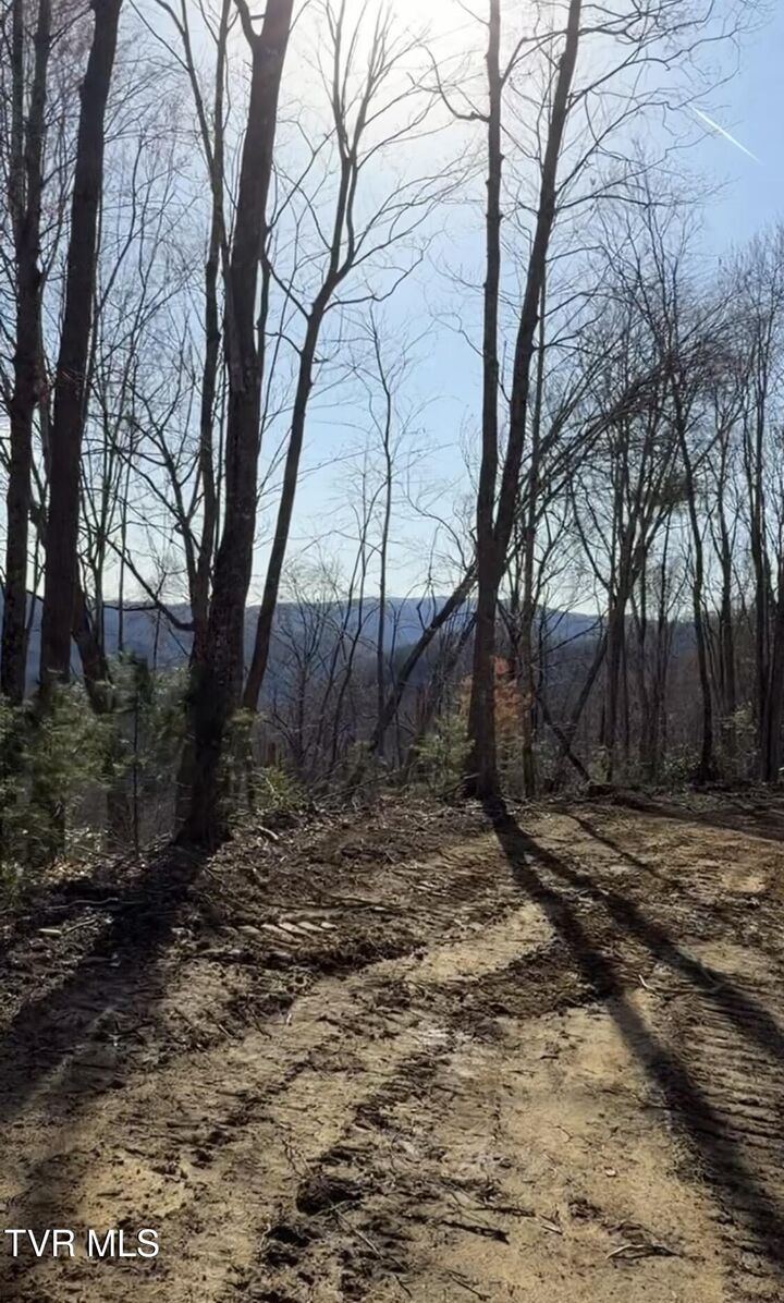 Property Photo:  Tbd Heaton Branch Road  TN 37640 