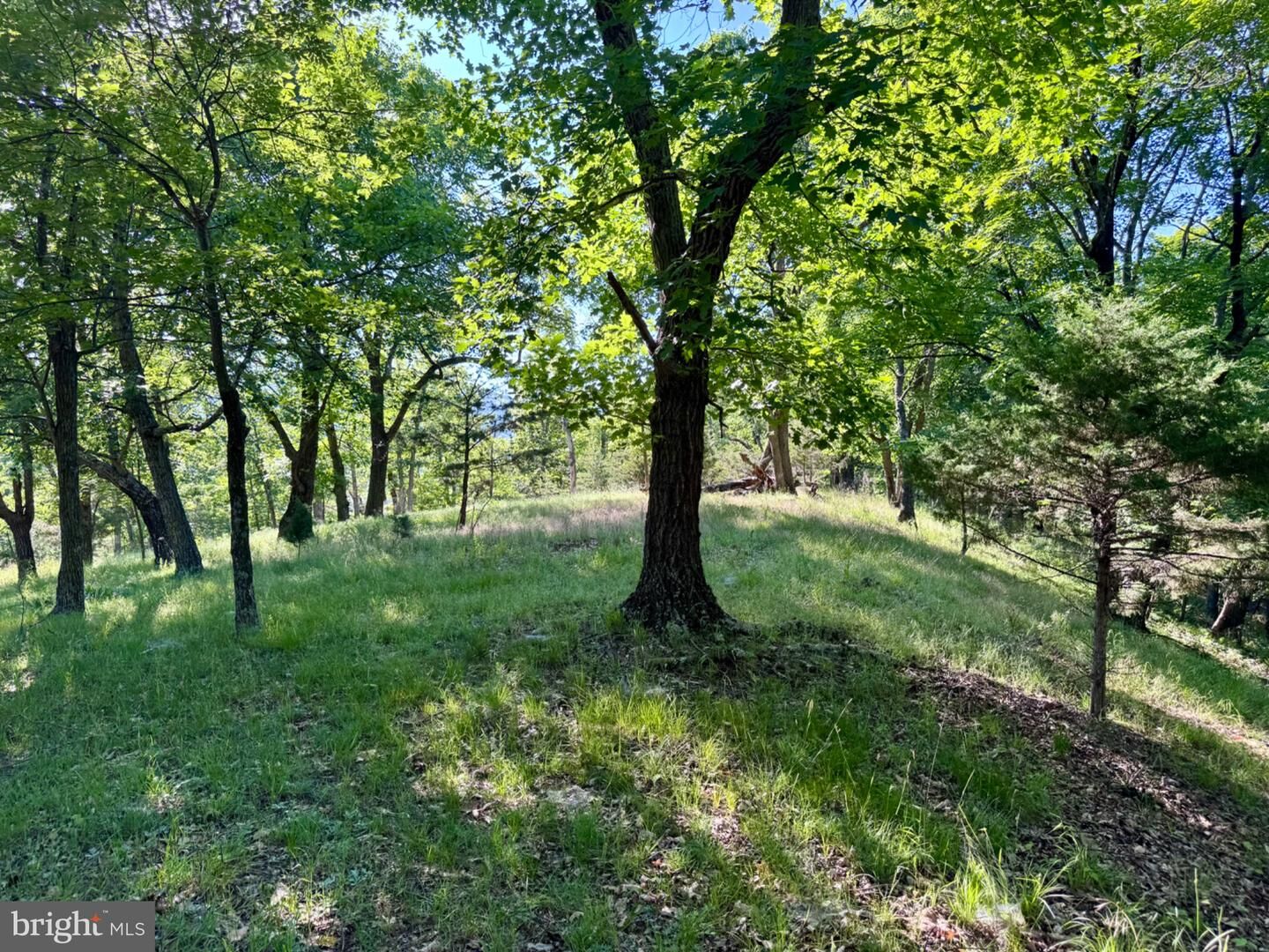 Property Photo:  326 Tweed Lane  WV 26847 