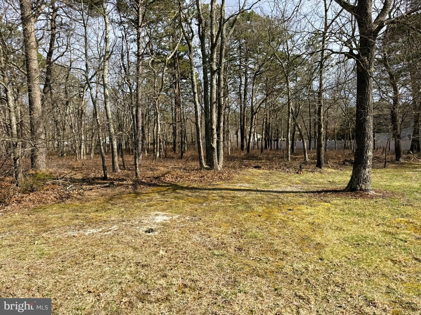 Property Photo: 20 Pinewood Drive NJ 08087