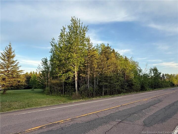 Property Photo:  Lot Route 115  NB E4V 2E7 