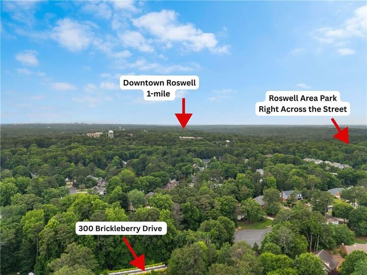 Property Photo:  300 Brickleberry Drive  GA 30075 