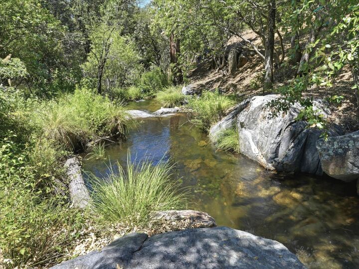 Property Photo:  34018 Peckinpah Acres Drive  CA 93643 
