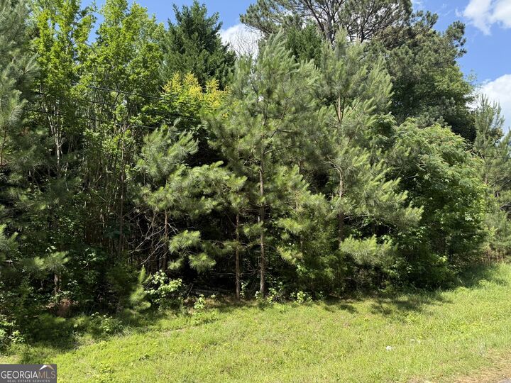 Property Photo:  1425 River Road  GA 31830 