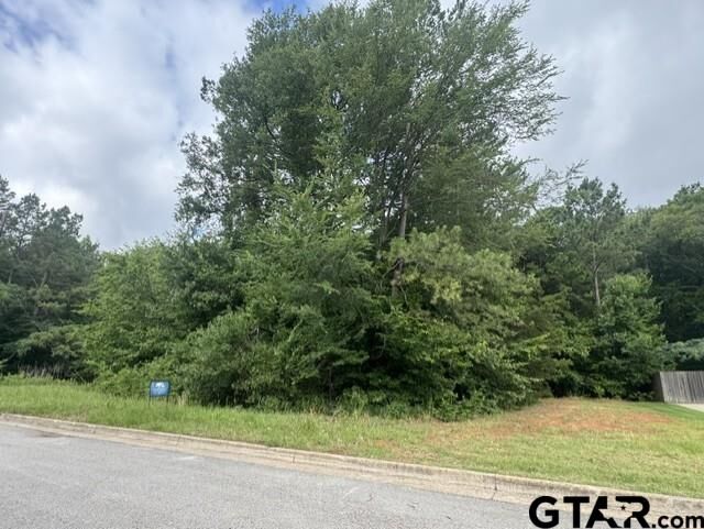 Property Photo: 9469 Cherokee Trail TX 75703